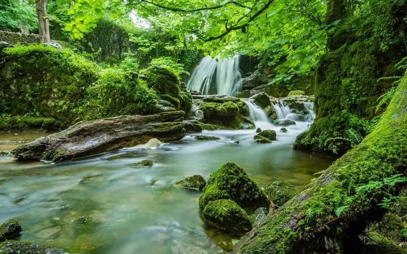高效智慧制造全自动